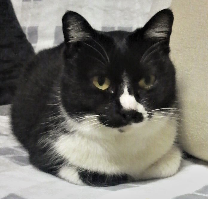 ファイル 437-1.jpg