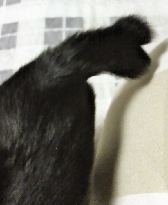 ファイル 437-2.jpg