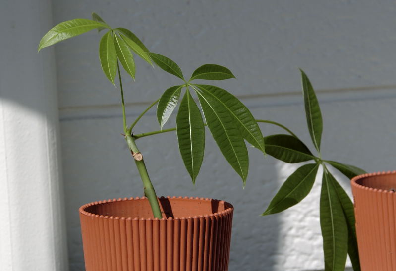 ファイル 48-1.jpg