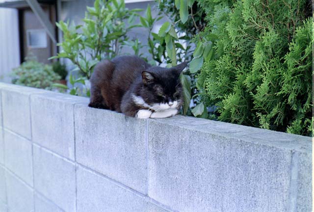 ファイル 5-2.jpg