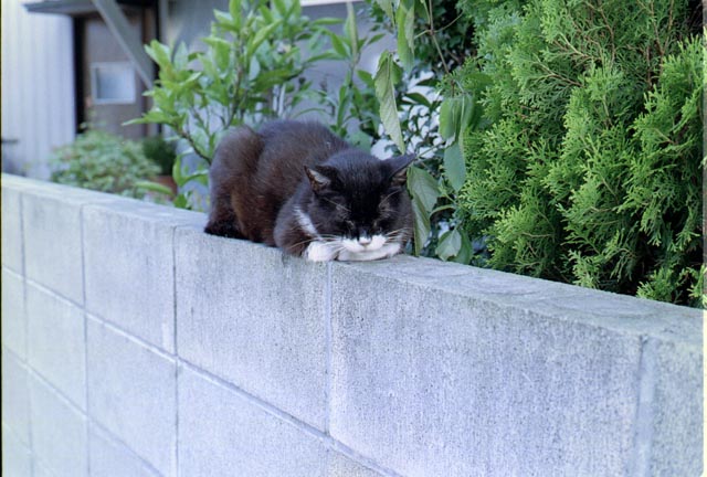 ファイル 5-3.jpg