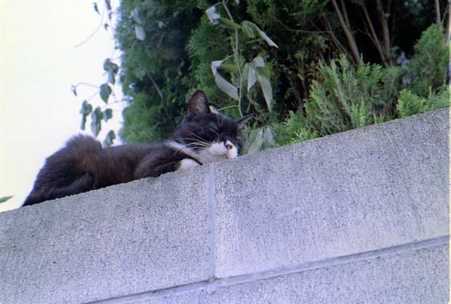 ファイル 5-4.jpg