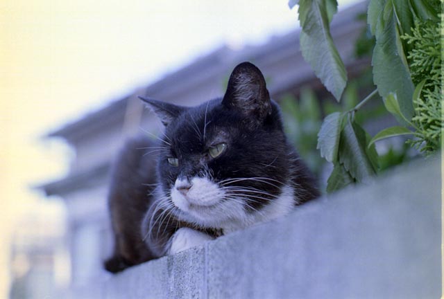 ファイル 7-2.jpg