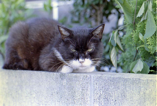 ファイル 7-3.jpg