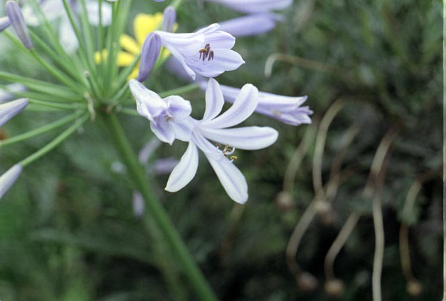 ファイル 7-4.jpg