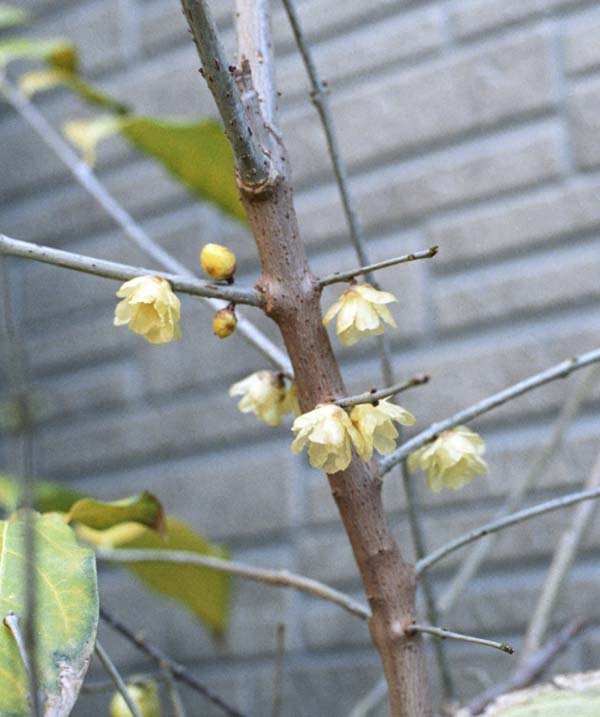 ファイル 83-3.jpg