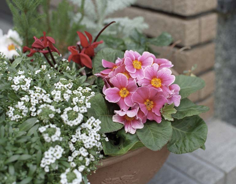 ファイル 83-4.jpg