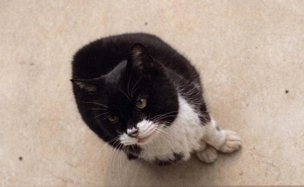 ファイル 89-1.jpg