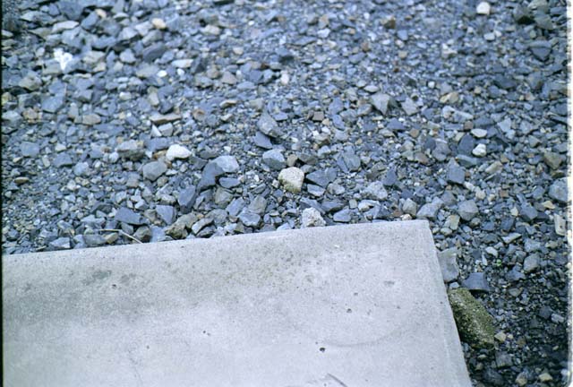 ファイル 9-2.jpg